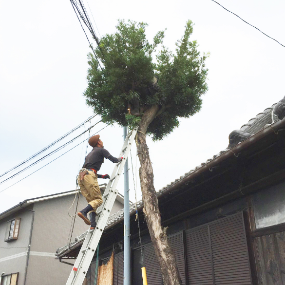 解体の種類