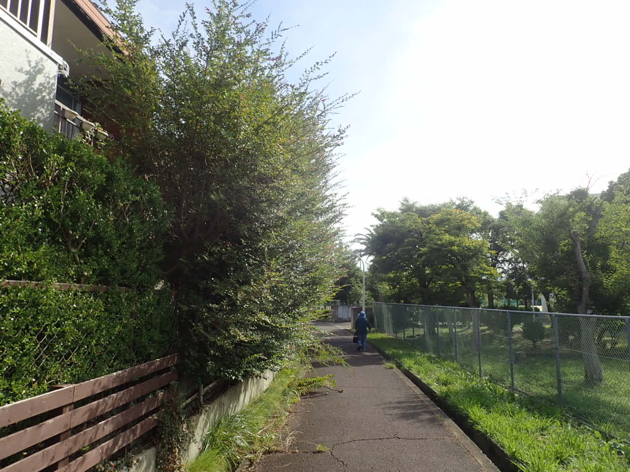 堺市南区生垣の撤去と目隠しフェンスの設置工事スタート