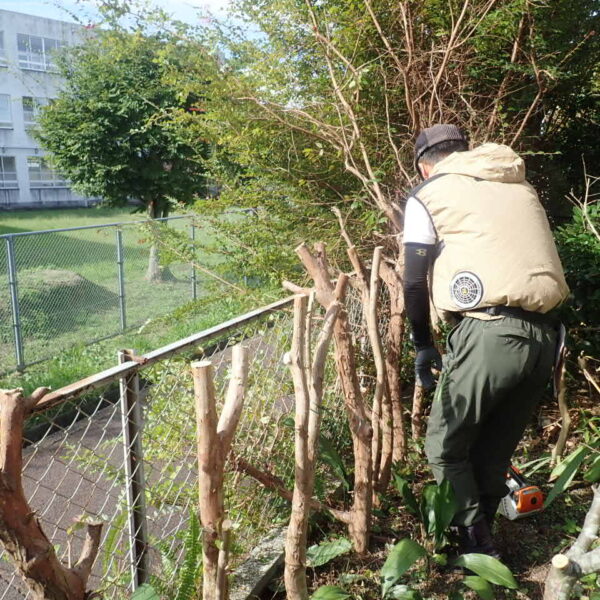 堺市南区生垣の撤去と目隠しフェンスの設置工事スタート